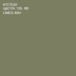 #7C7E62 - Limed Ash Color Image